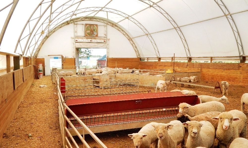 sheep barns alaska britespan buildings