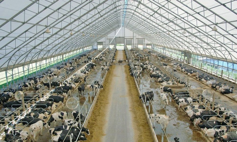 dairy barn colorado britespan building