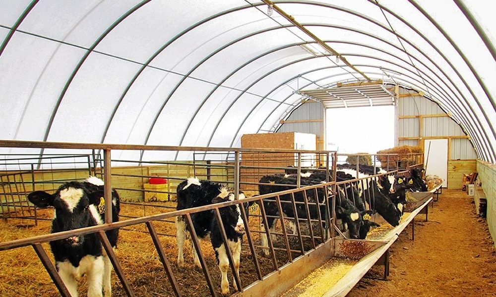 calf barn iowa britespan building