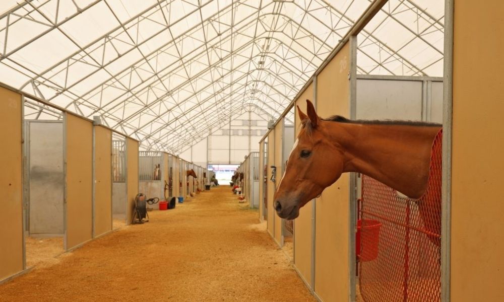 equestrian barns montana britespan building