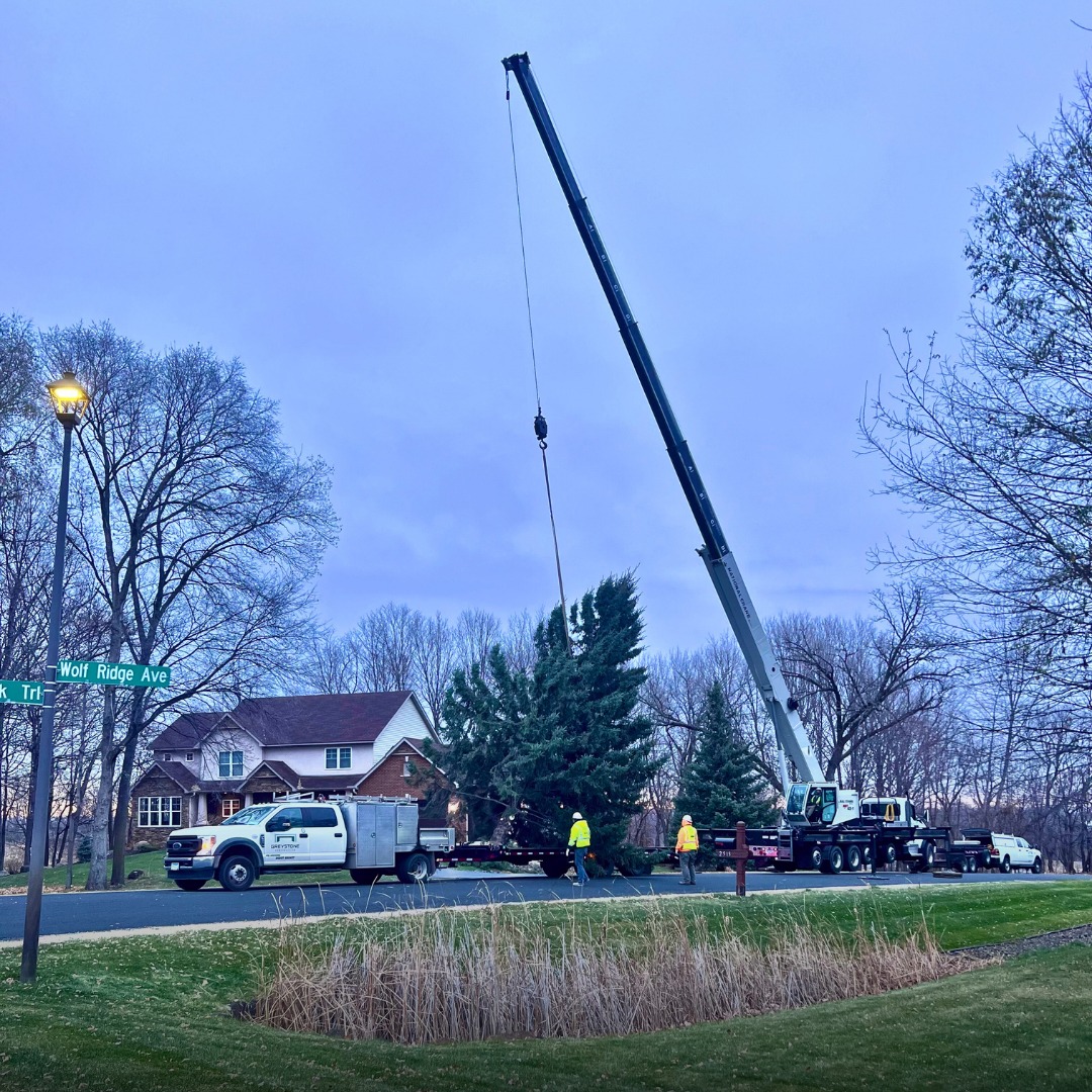 Greystone Team Helped Install Holiday Fest Tree Downtown Shakopee