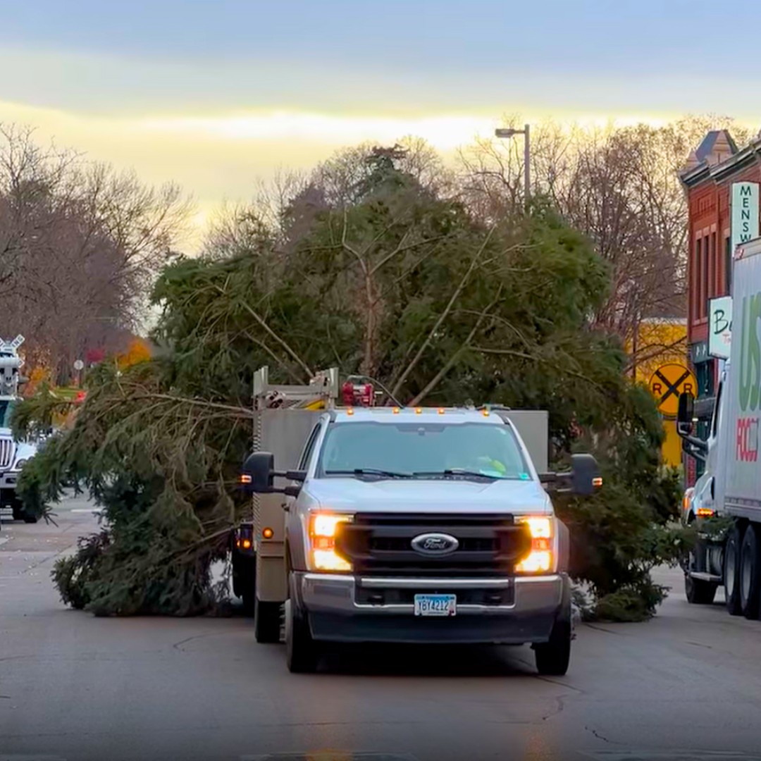 Greystone Team Helped Install Holiday Fest Tree Downtown Shakopee