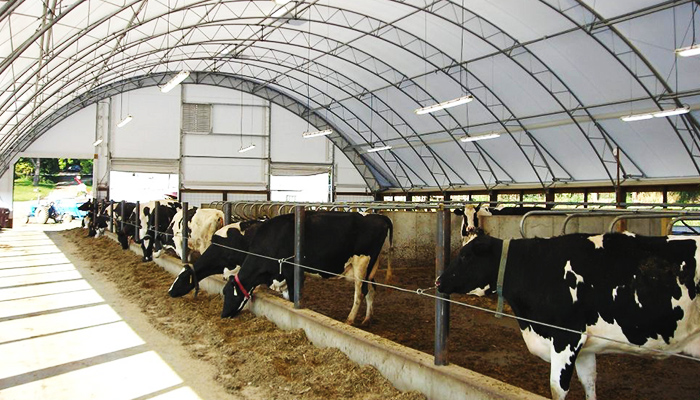 fabric buildings cost