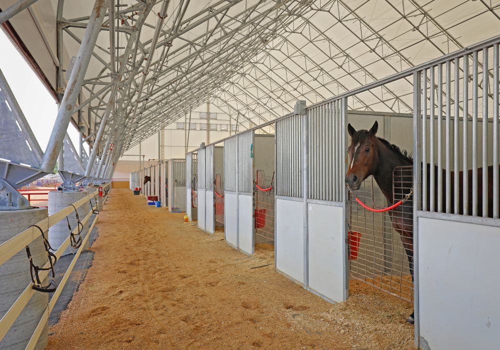 fabric horse barns at canterbury park