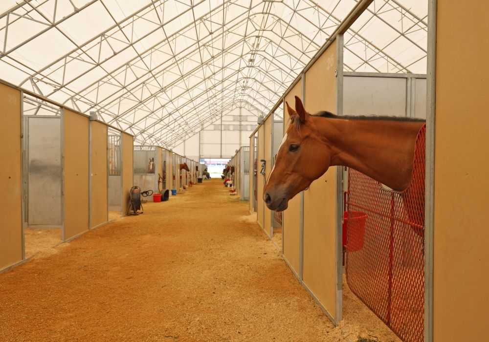 fabric horse barns at canterbury park