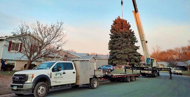 Greystone Crew Helped Install Tree in Downtown Shakopee for Holiday Fest