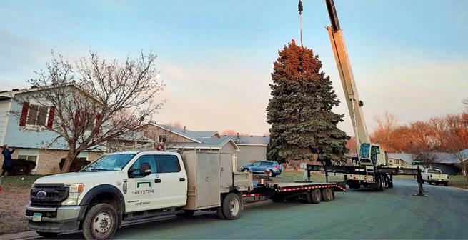 Greystone Crew Helped Install Tree in Downtown Shakopee for Holiday Fest 